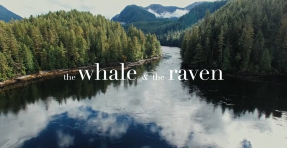 The Whale And The Raven – Kölner Premiere 7. Juli 19 Uhr