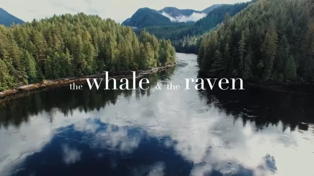 The Whale And The Raven – Kölner Premiere 7. Juli 19 Uhr